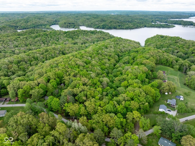 aerial view of a nearby body of water and a forest