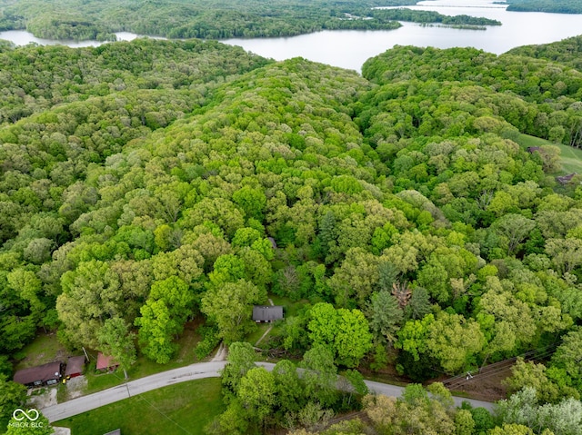 drone / aerial view of a large body of water and a forest