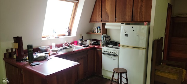 kitchen featuring white appliances, a sink, under cabinet range hood, brown cabinetry, and dark wood-style floors