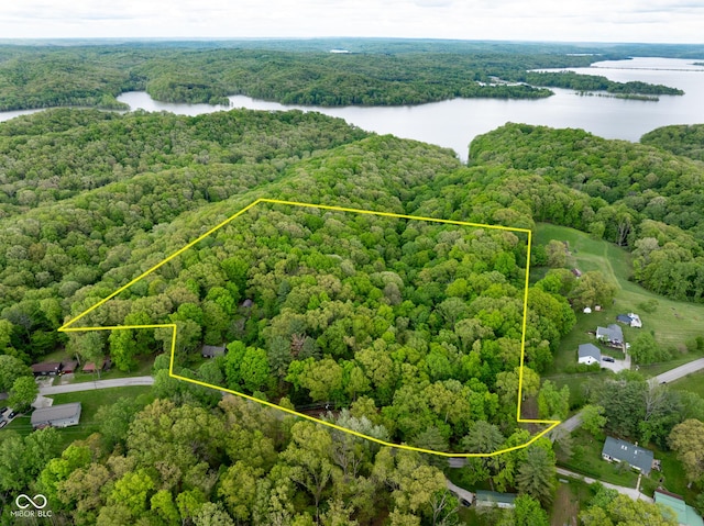 aerial overview of property's location with a heavily wooded area, a nearby body of water, and property parcel outlined