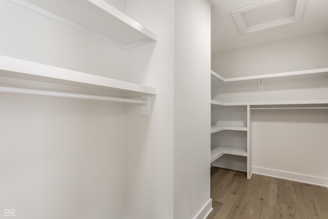 39 N Walcott St, Indianapolis, IN 46201 - walk in closet featuring wood finished floors and attic access