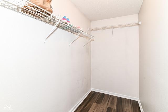 9676 W Constellation Dr, Pendleton, IN 46064 - walk in closet featuring dark wood-type flooring