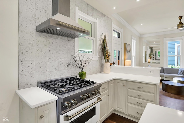 847 N Park Ave, Indianapolis, IN 46202 - kitchen with stove, wall chimney range hood, ornamental molding, open floor plan, and light countertops