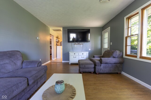 6310 E County Road 200 S, Butlerville, IN 47223 - living area featuring wood finished floors and plenty of natural light