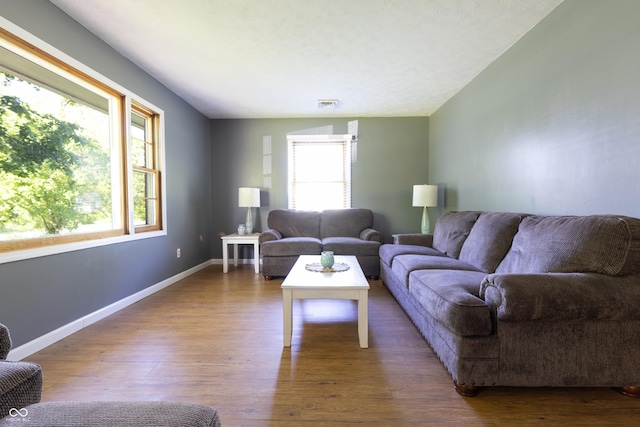 6310 E County Road 200 S, Butlerville, IN 47223 - living area with plenty of natural light and wood finished floors