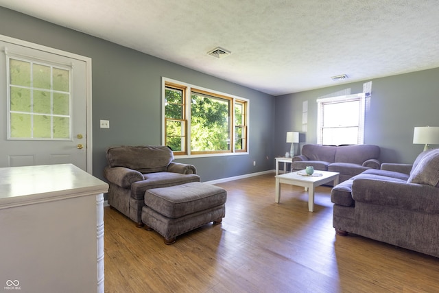 6310 E County Road 200 S, Butlerville, IN 47223 - living room featuring wood finished floors, healthy amount of natural light, and a textured ceiling