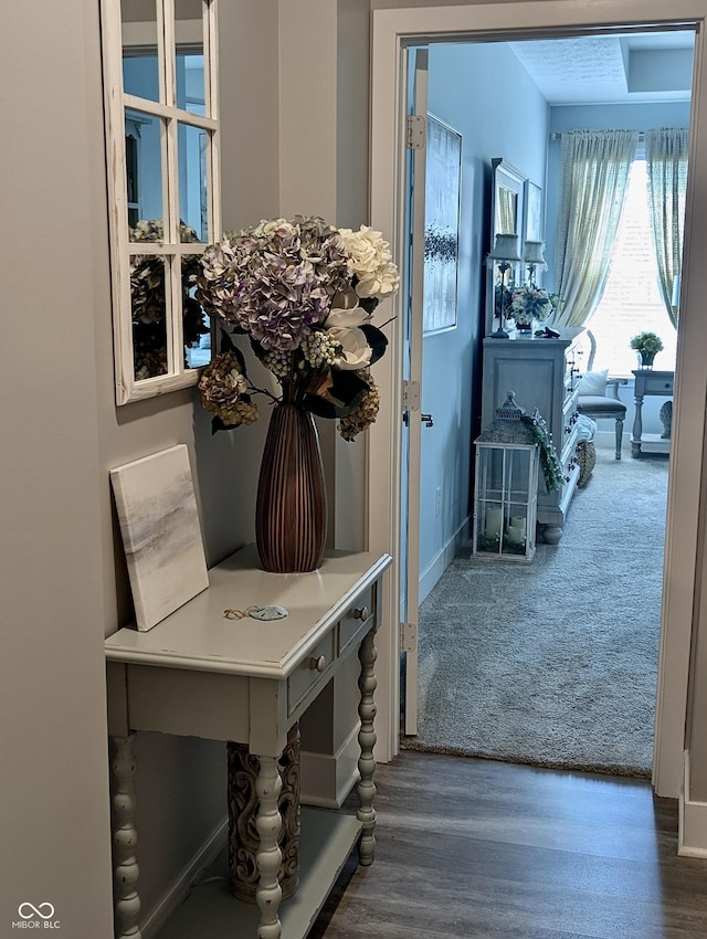 3691 Talmine Ln, Bargersville, IN 46106 - foyer featuring wood finished floors and baseboards