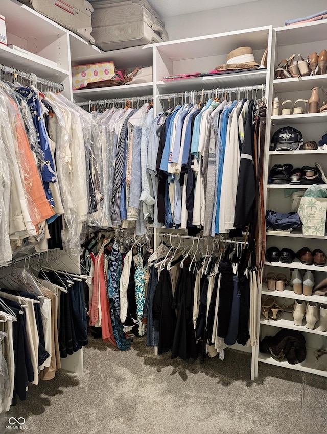 3691 Talmine Ln, Bargersville, IN 46106 - spacious closet featuring carpet floors