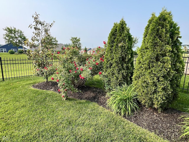 3691 Talmine Ln, Bargersville, IN 46106 - view of yard
