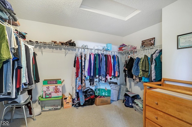 spacious closet with attic access and carpet flooring