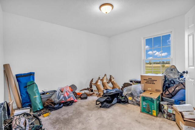3319 E 700 N, Whiteland, IN 46184 - photo 24