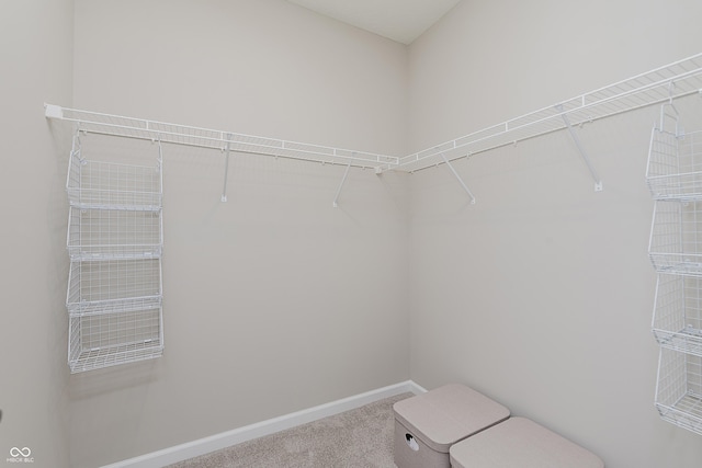 6465 Wasco Dr, Whitestown, IN 46075 - walk in closet featuring carpet floors