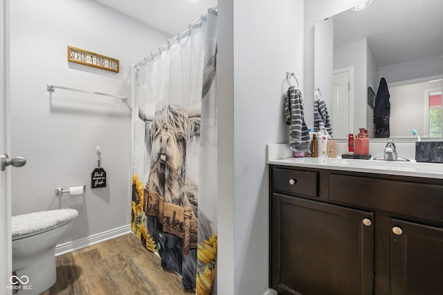 508 Jefferson, Coatesville, IN 46121 - full bathroom featuring wood finished floors, toilet, vanity, curtained shower, and baseboards