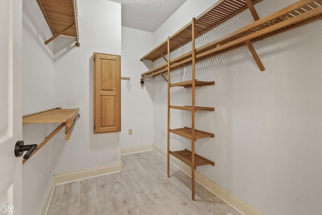 11226 Blackwalnut Pt, Indianapolis, IN 46236 - walk in closet with light wood finished floors
