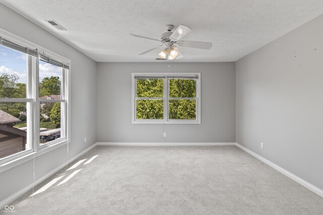 11226 Blackwalnut Pt, Indianapolis, IN 46236 - spare room with carpet floors, a ceiling fan, baseboards, and a textured ceiling