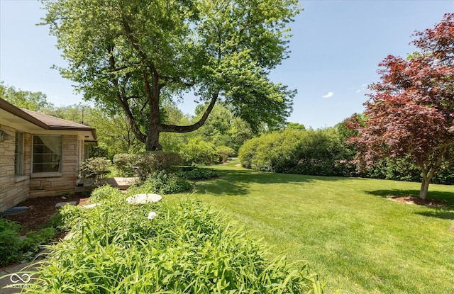 7401 Spring Mill Rd, Indianapolis, IN 46260 - view of grassy yard