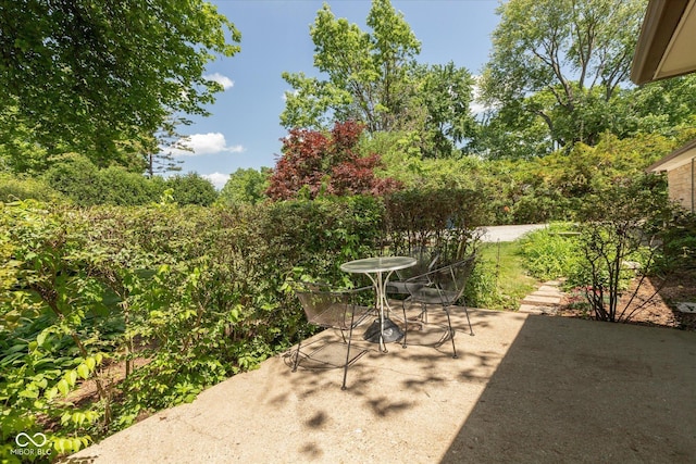 7401 Spring Mill Rd, Indianapolis, IN 46260 - view of patio