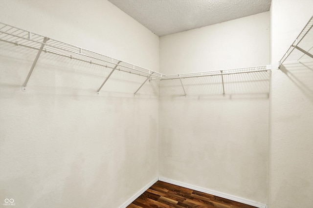 spacious closet featuring dark wood-type flooring