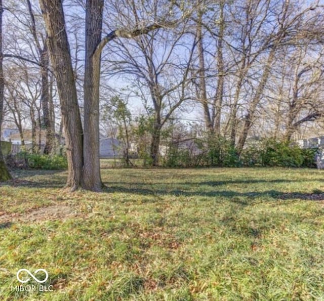 3342 Foltz St, Indianapolis, IN 46221 - view of grassy yard