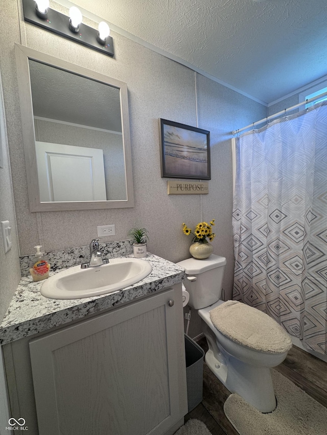 216 E Wabash St, Wingate, IN 47994 - bathroom with vanity, toilet, a textured ceiling, and curtained shower