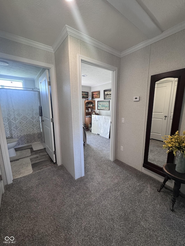216 E Wabash St, Wingate, IN 47994 - hall with carpet and ornamental molding