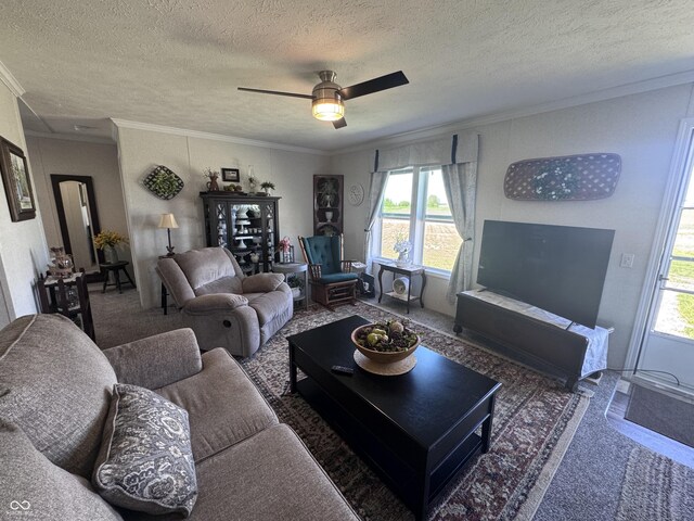 216 E Wabash St, Wingate, IN 47994 - carpeted living area featuring healthy amount of natural light, a textured ceiling, a ceiling fan, and ornamental molding