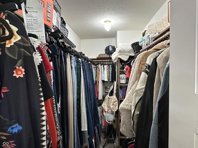 view of walk in closet