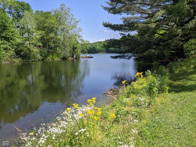 7114 Locust Lake W Dr, Spencer, IN 47460 - water view with a heavily wooded area