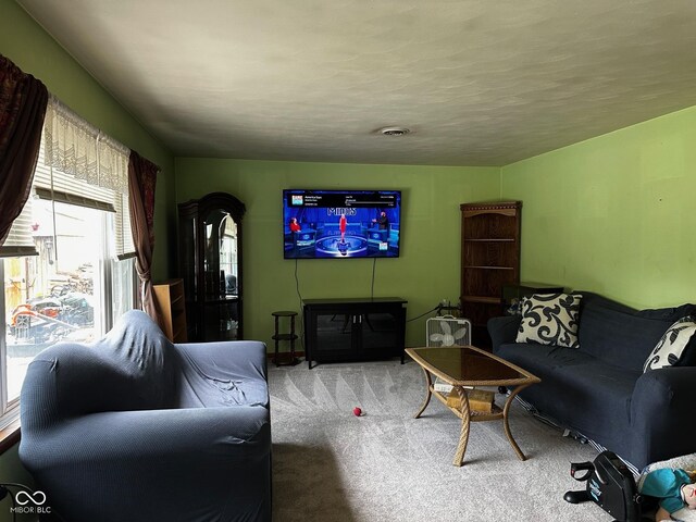 7114 Locust Lake W Dr, Spencer, IN 47460 - living room with carpet floors