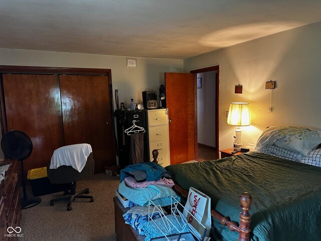 7114 Locust Lake W Dr, Spencer, IN 47460 - bedroom featuring a closet and carpet floors