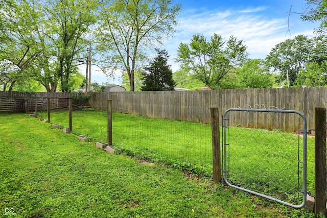 view of yard
