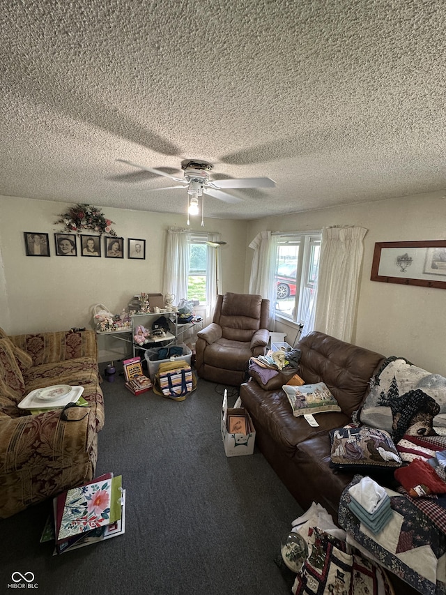 1801 E 16th St, Muncie, IN 47302 - living room with ceiling fan, carpet floors, and a textured ceiling
