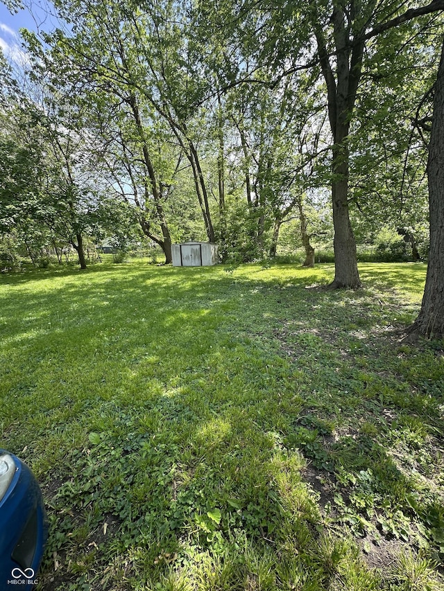 1801 E 16th St, Muncie, IN 47302 - view of grassy yard