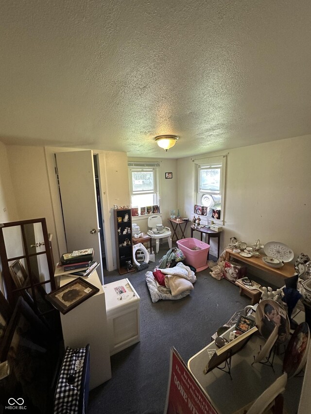 1801 E 16th St, Muncie, IN 47302 - living area featuring a textured ceiling and carpet