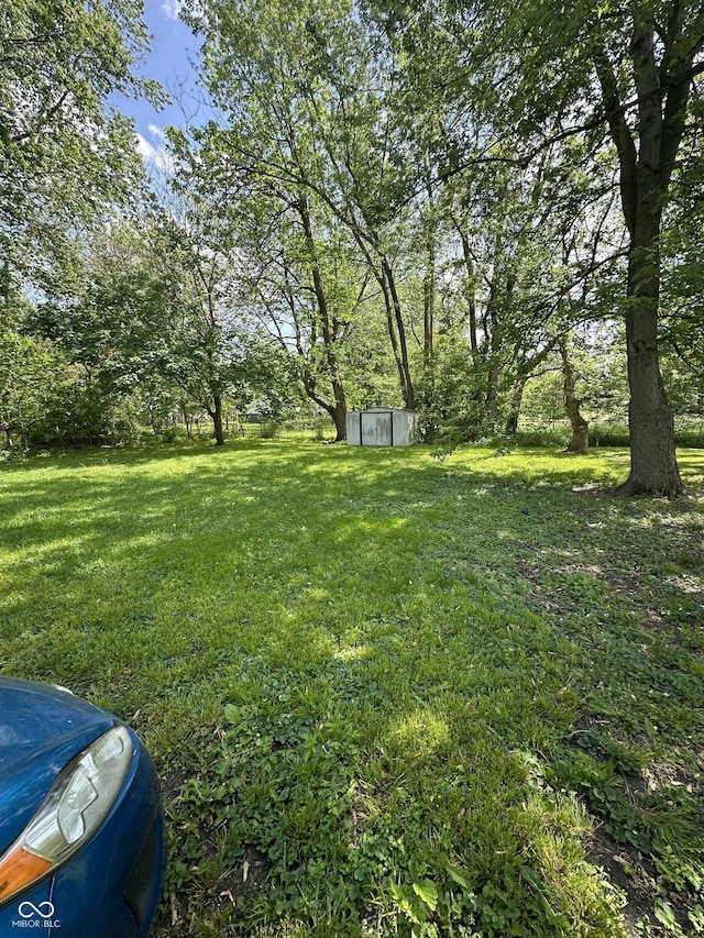 1801 E 16th St, Muncie, IN 47302 - view of green lawn