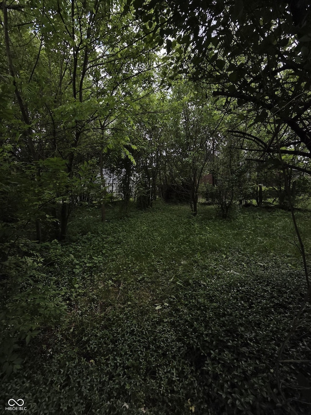 1168 N Gladstone Ave, Indianapolis, IN 46201 - view of yard