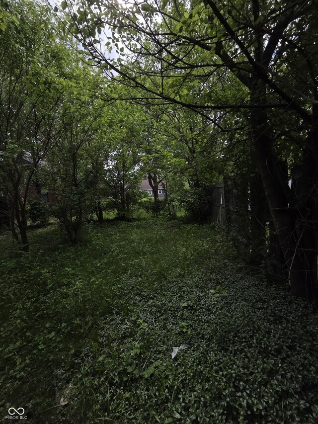 1168 N Gladstone Ave, Indianapolis, IN 46201 - view of local wilderness