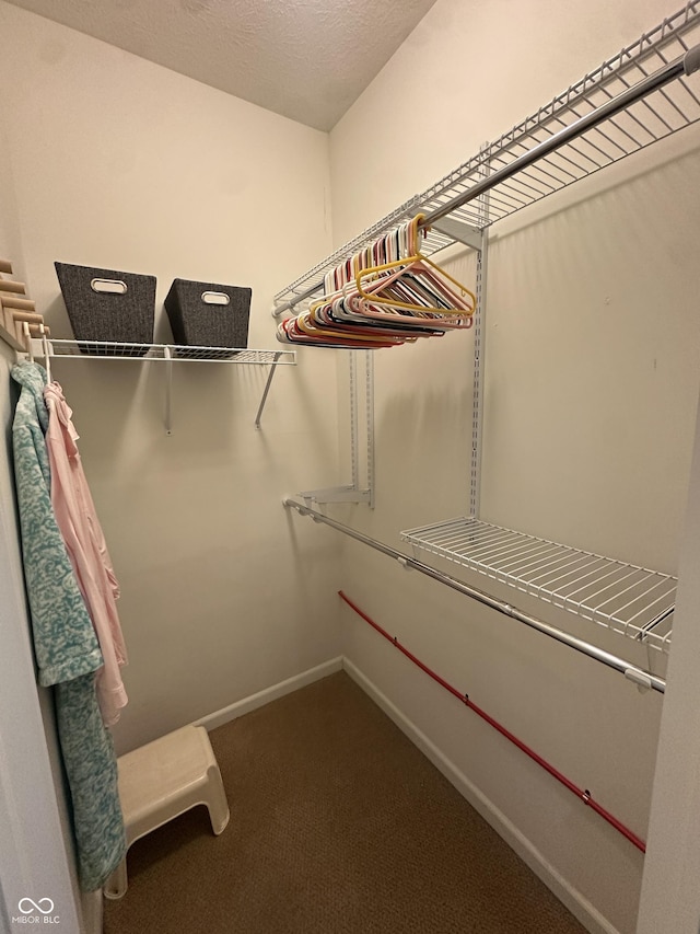 5486 Lipizzan Ln, Plainfield, IN 46168 - spacious closet with dark carpet
