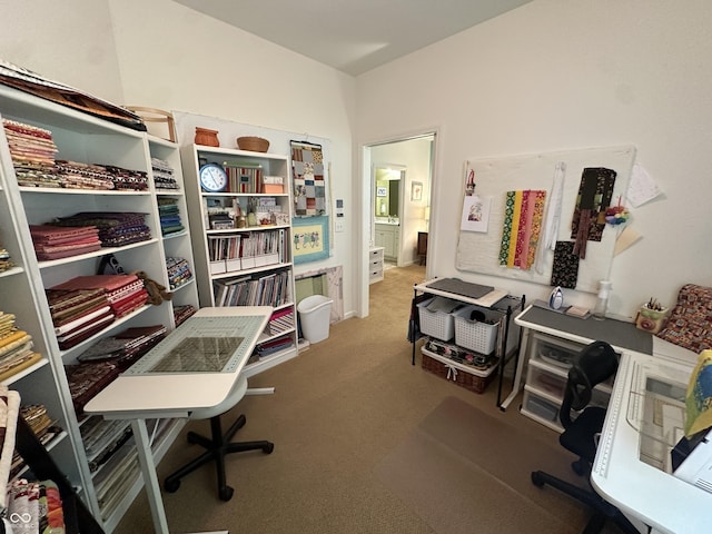5486 Lipizzan Ln, Plainfield, IN 46168 - office area with carpet flooring