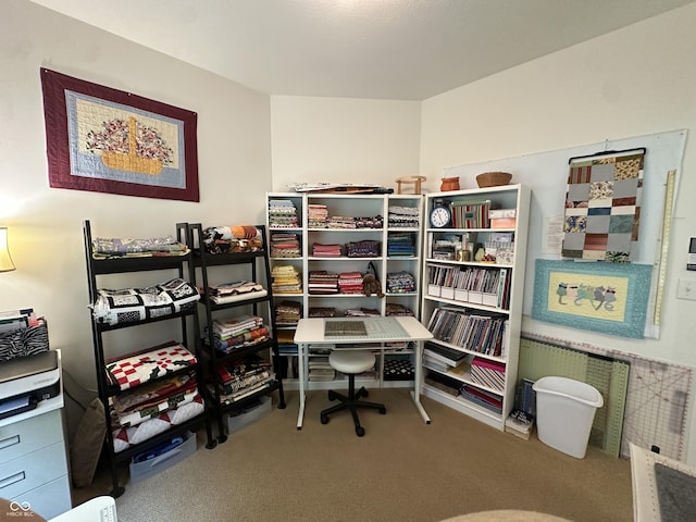 5486 Lipizzan Ln, Plainfield, IN 46168 - office area with carpet floors and radiator