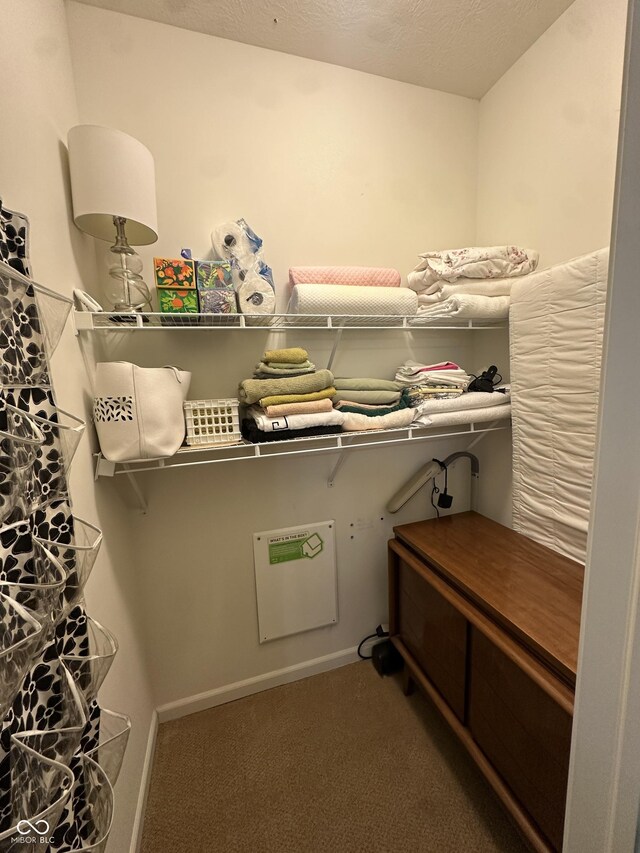 5486 Lipizzan Ln, Plainfield, IN 46168 - walk in closet featuring carpet floors