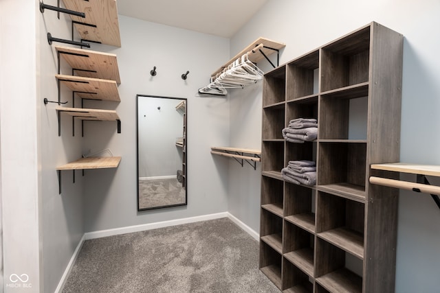 2215 S Delaware St, Indianapolis, IN 46225 - spacious closet featuring carpet floors