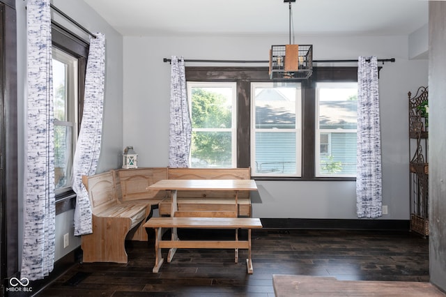 2215 S Delaware St, Indianapolis, IN 46225 - dining area featuring dark wood-style floors, plenty of natural light, a chandelier, and breakfast area