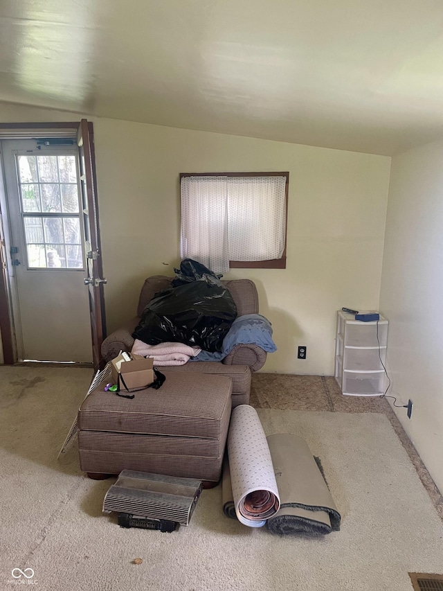 view of carpeted living room