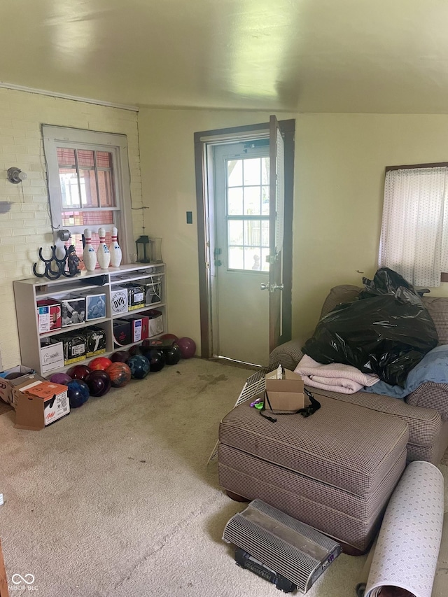 view of carpeted living area