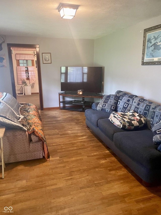 living room featuring light wood-type flooring