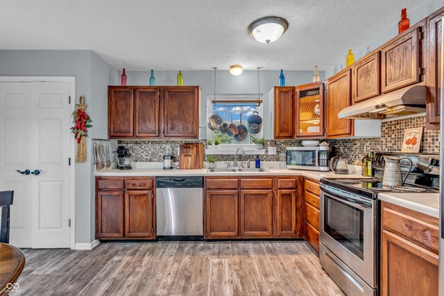 1104 Briarwood Dr, Brownsburg, IN 46112 - kitchen featuring stainless steel appliances, under cabinet range hood, a sink, light countertops, and light wood-style flooring