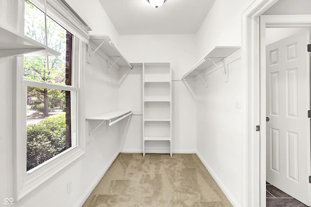 7513 Pine Royal Dr, Indianapolis, IN 46256 - walk in closet with carpet flooring