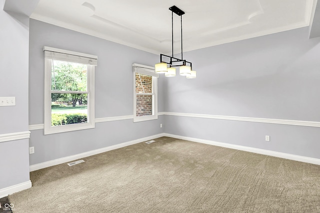 7513 Pine Royal Dr, Indianapolis, IN 46256 - empty room with a raised ceiling and carpet floors