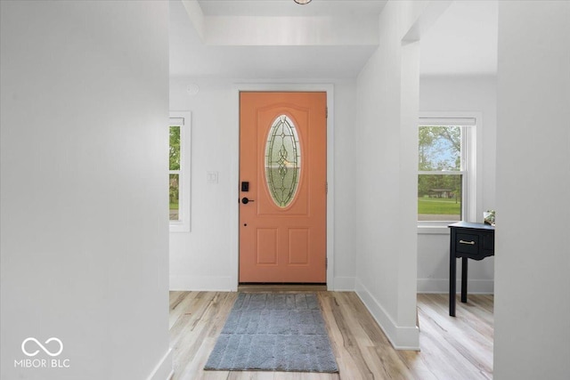 450 Historic Pleasant St, Noblesville, IN 46060 - entrance foyer with light wood finished floors and baseboards